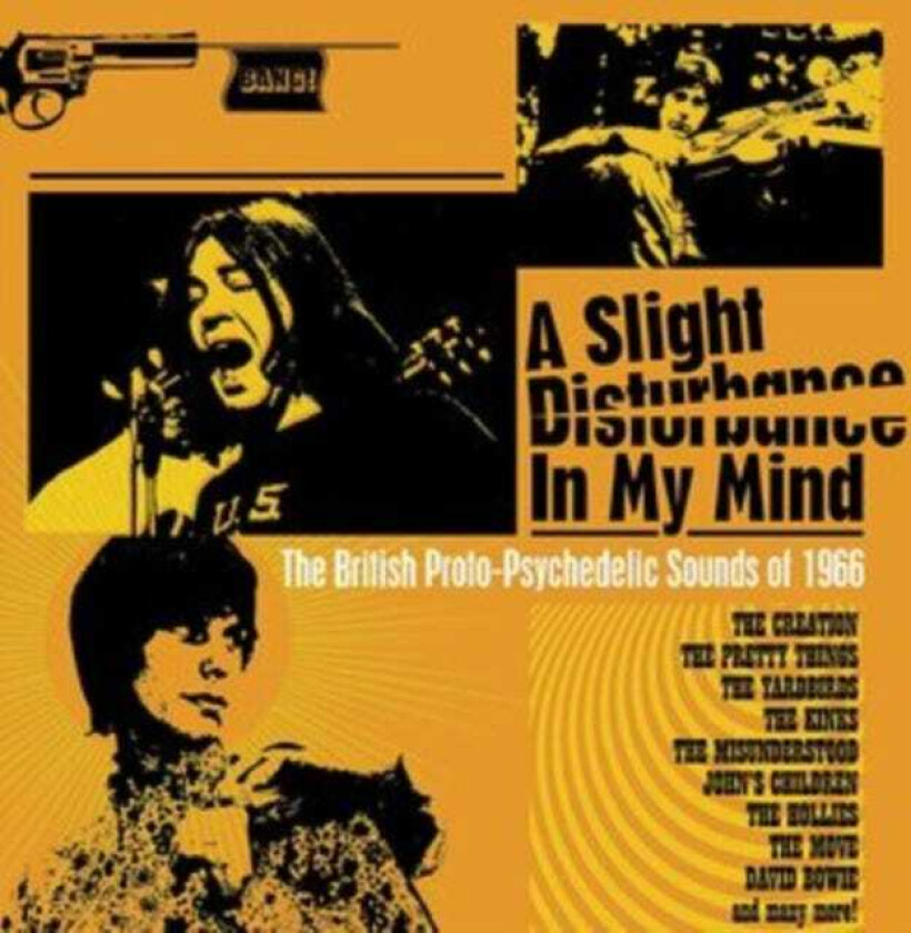 Diverse Artister A Slight Disturbance In My Mind The British ProtoPsychedelic Sounds Of 1966 CD