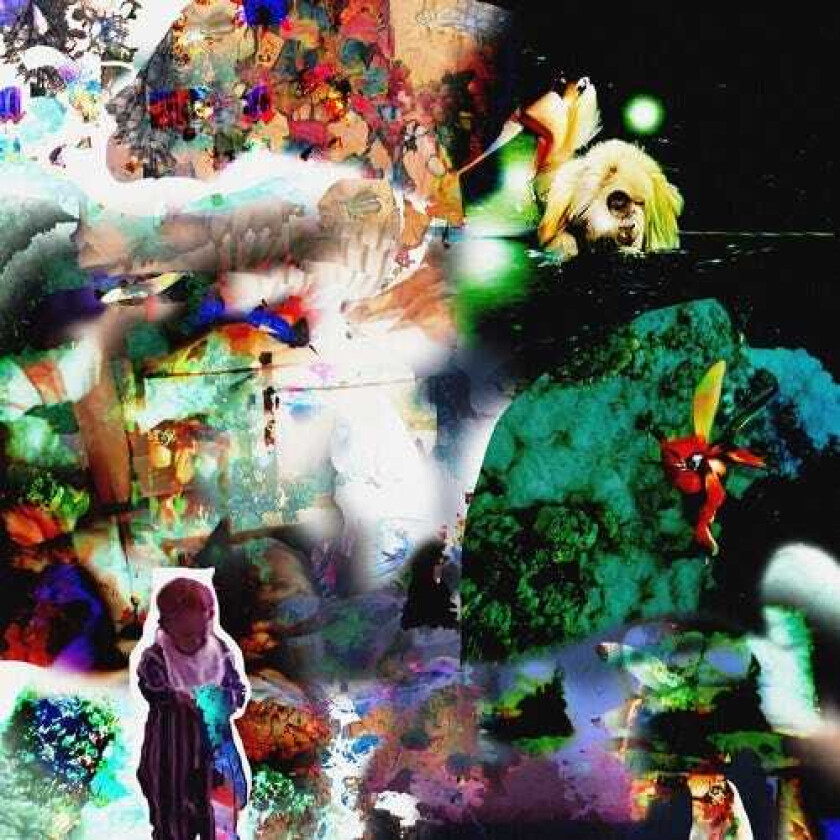 Acidhead Distractions LP/Vinyl