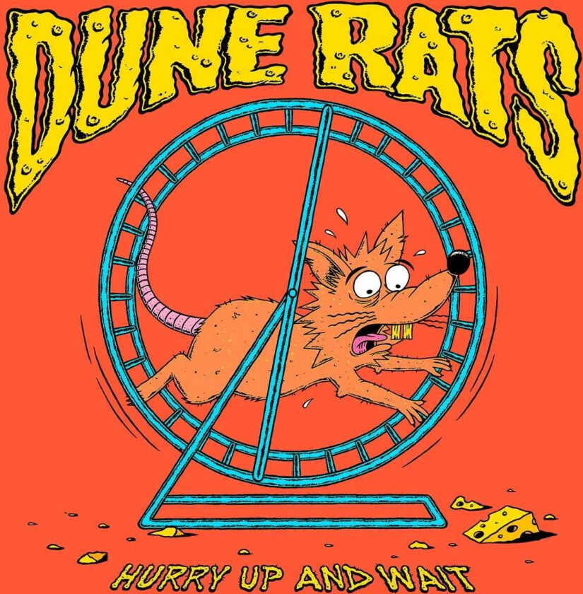 Dune Rats Hurry Up And Wait LP/Vinyl