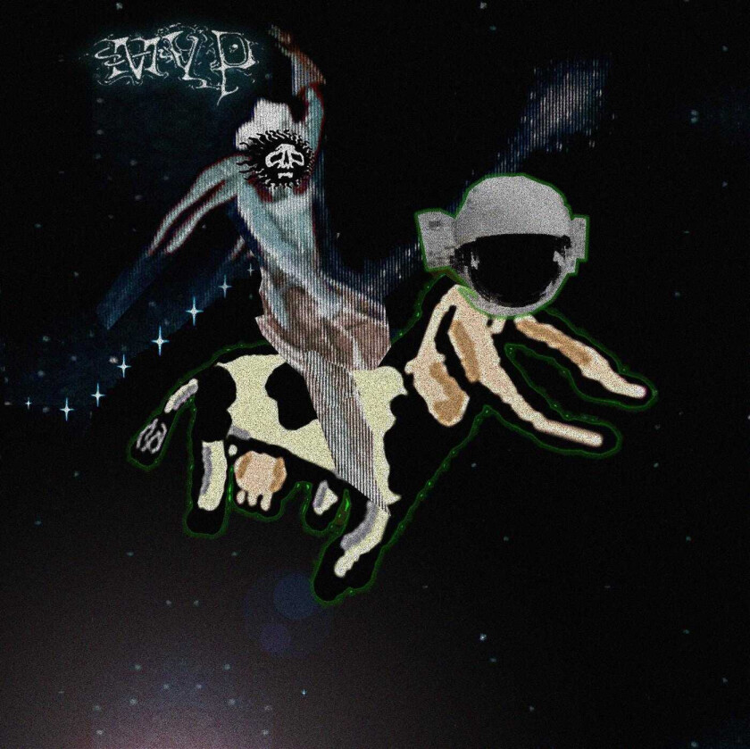 Matt Valentine Preserves CD