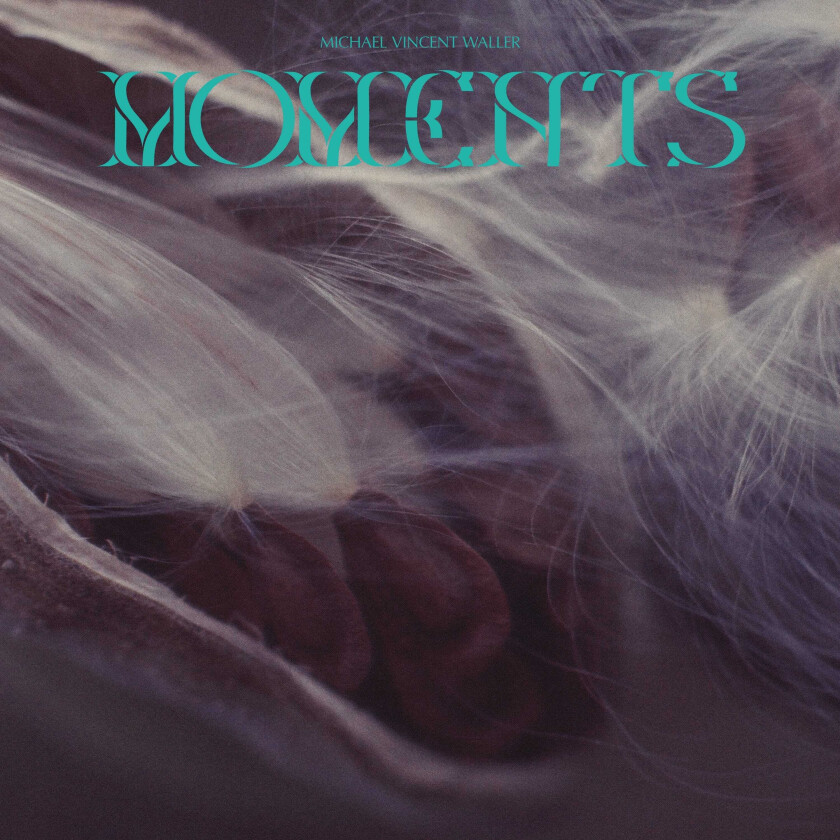 Michael Vincent Waller Moments LP/Vinyl