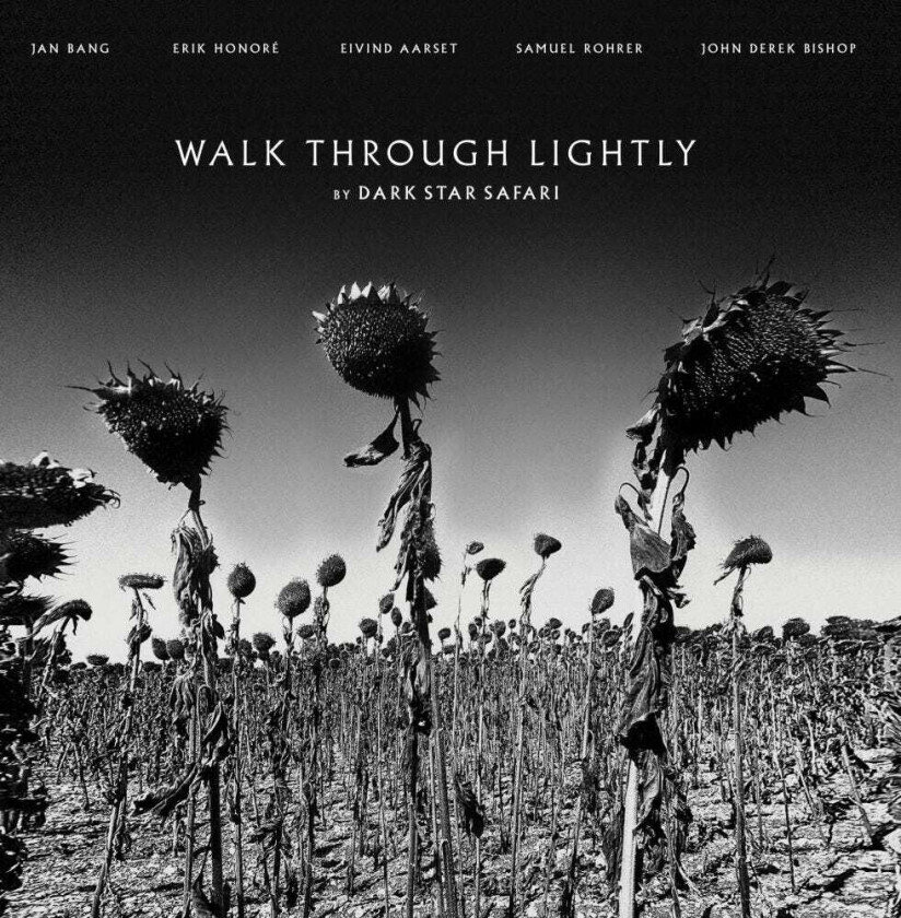 Dark Star Safari Walk Through Lightly LP/Vinyl