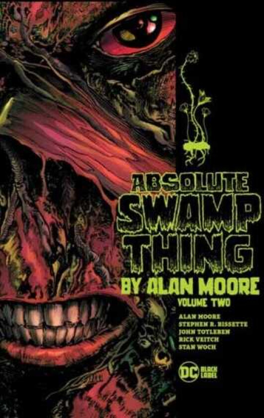 Absolute Swamp Thing by Alan Moore Volume 2