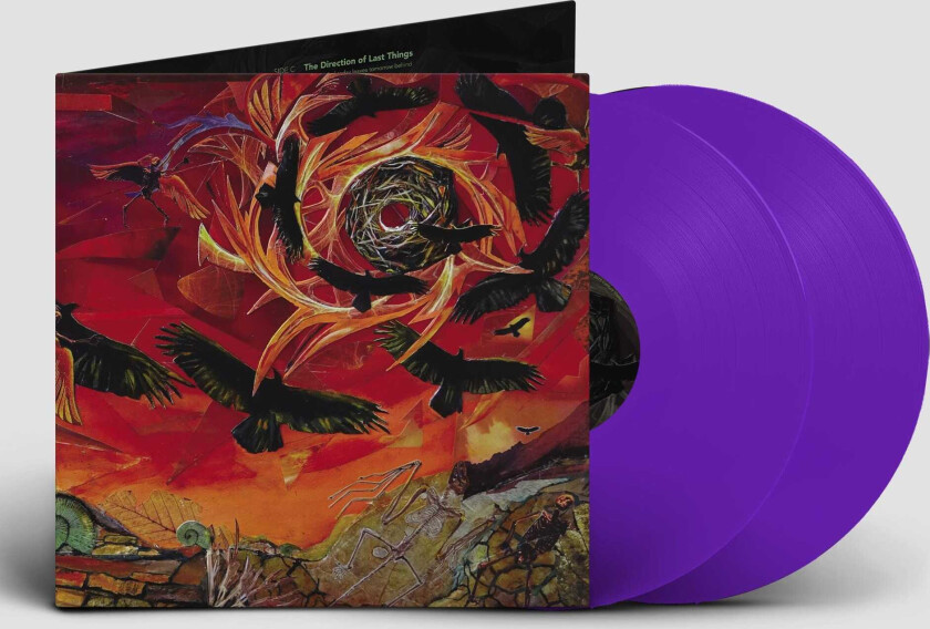Intronaut The Direction Of Last Things LP/Vinyl