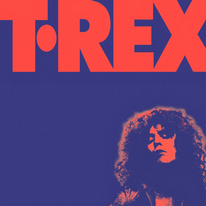 Marc Bolan & T.Rex Alternative Singles Collection CD