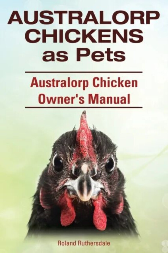 Australorp Chickens as Pets. Australorp Chicken Owner's Manual. av Roland Ruthersdale