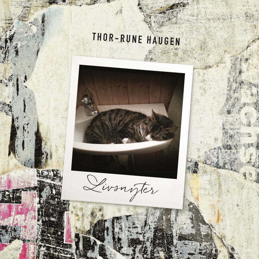 ThorRune Haugen Livsnyter CD