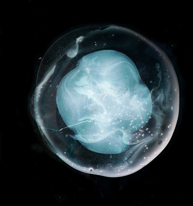 A Winged Victory For The Sullen The Undivided Five CD