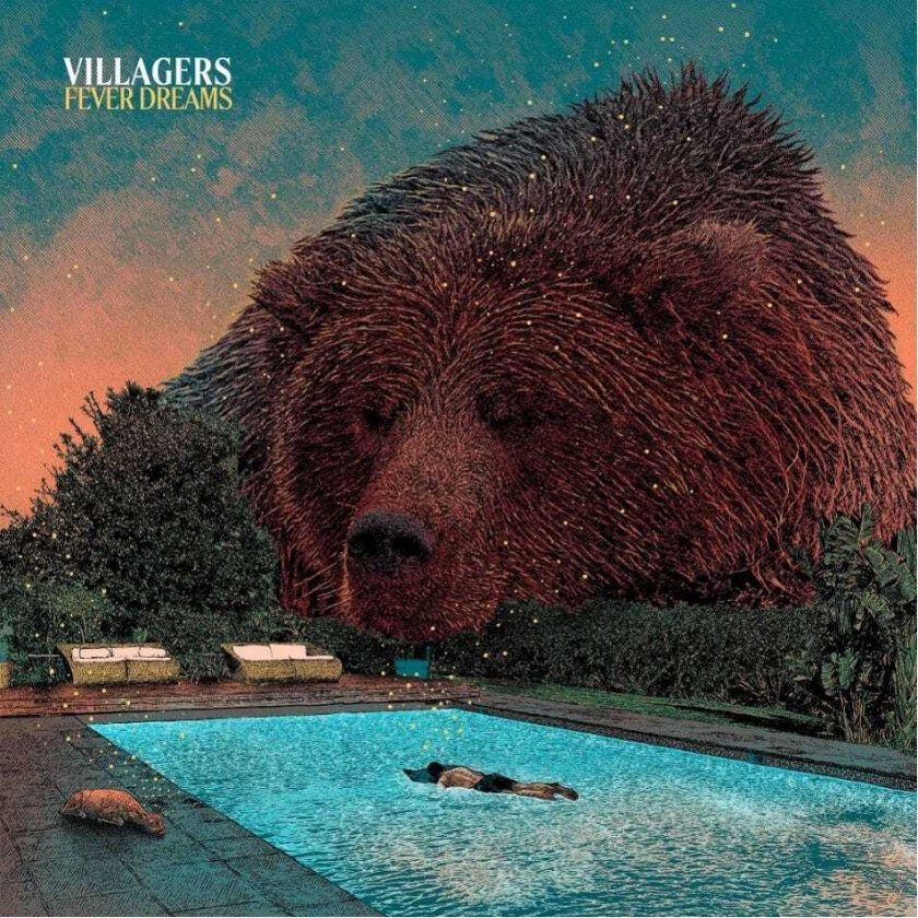 Villagers Fever Dreams LP/Vinyl
