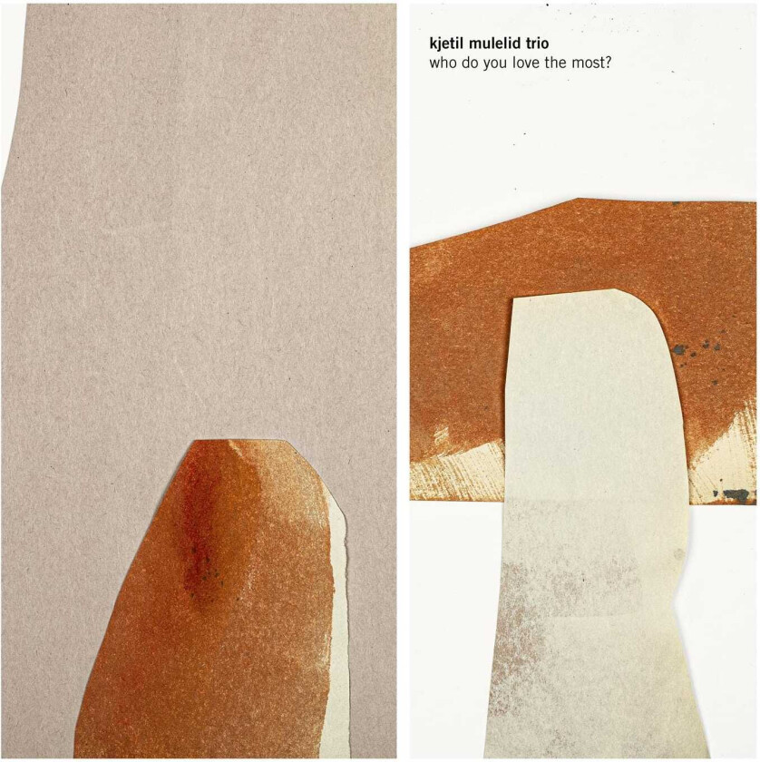 Kjetil Mulelid Trio Who Do You Love The Most? LP/Vinyl