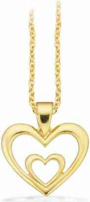 Hjerte Forgylt Sølv Halskjede 239042