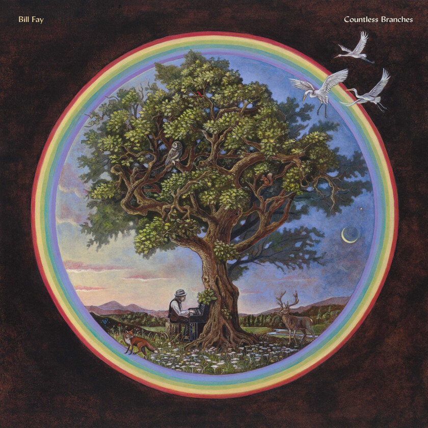 Bill Fay Countless Branches LP/Vinyl