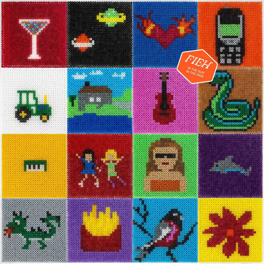 Fieh In The Sun In The Rain CD