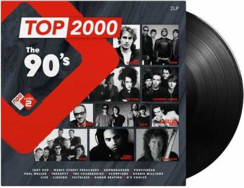 Diverse Artister  Top 2000  The 90's  LP/Vinyl