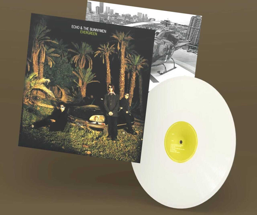 Echo & The Bunnymen Evergreen LP/Vinyl