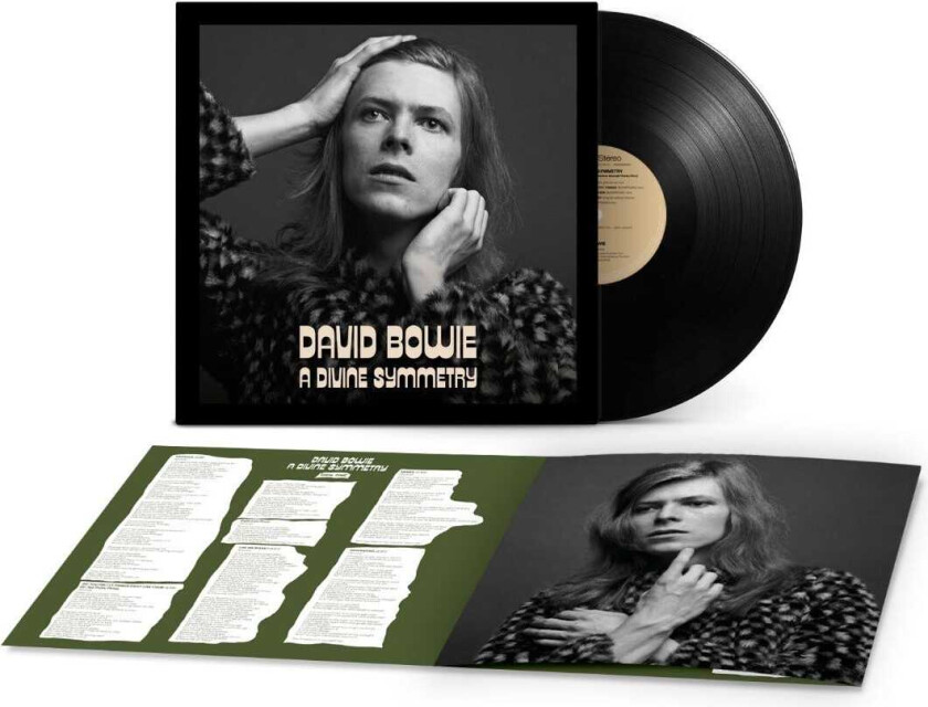 David Bowie A Divine Symmetry (An Alternative Journey Through Hunky Dory) LP/Vinyl