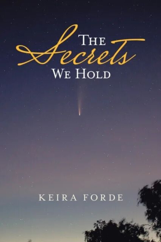 The Secrets We Hold av Keira Forde