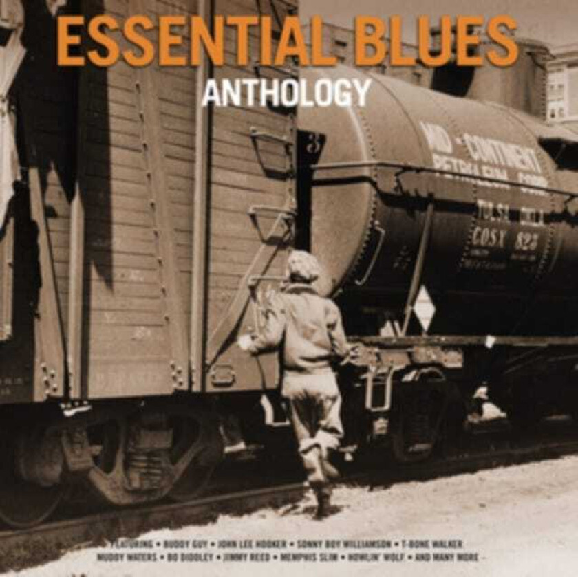 Diverse Blues Essential Blues Anthology LP/Vinyl