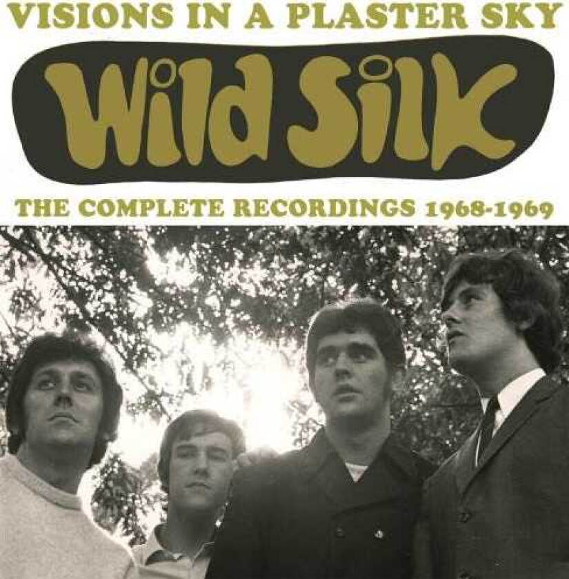 Wild Silk  Visions In A Plaster Sky: The Complete 19681969  CD