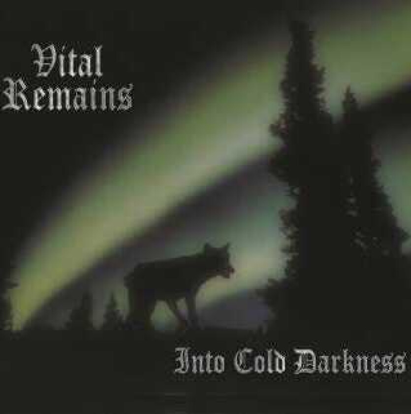 Vital Remains Into Cold Darkness LP/Vinyl