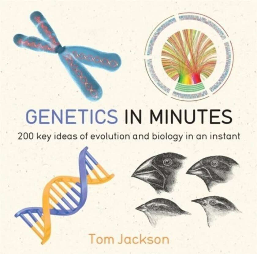 Genetics in Minutes av Tom Jackson