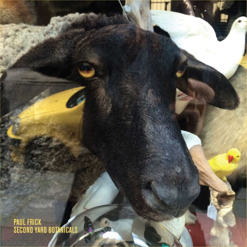 Paul Fricke Second Yard Botanicals LP/Vinyl