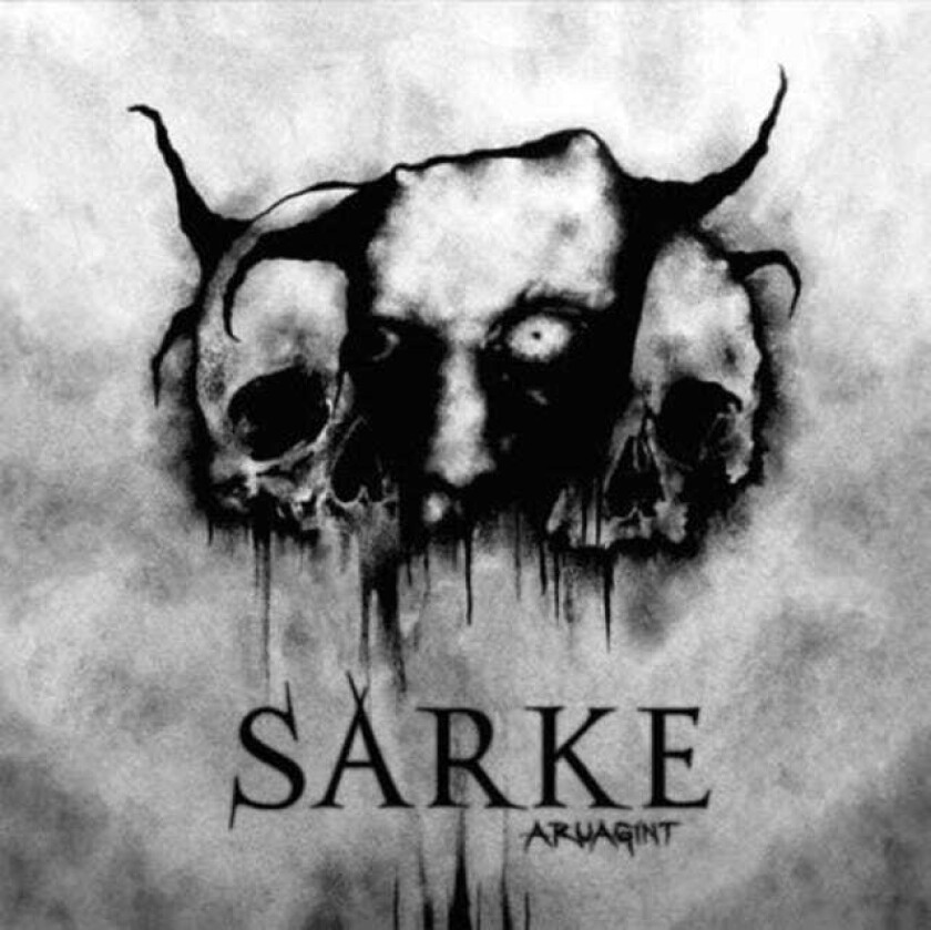 Sarke Aruagint LP/Vinyl