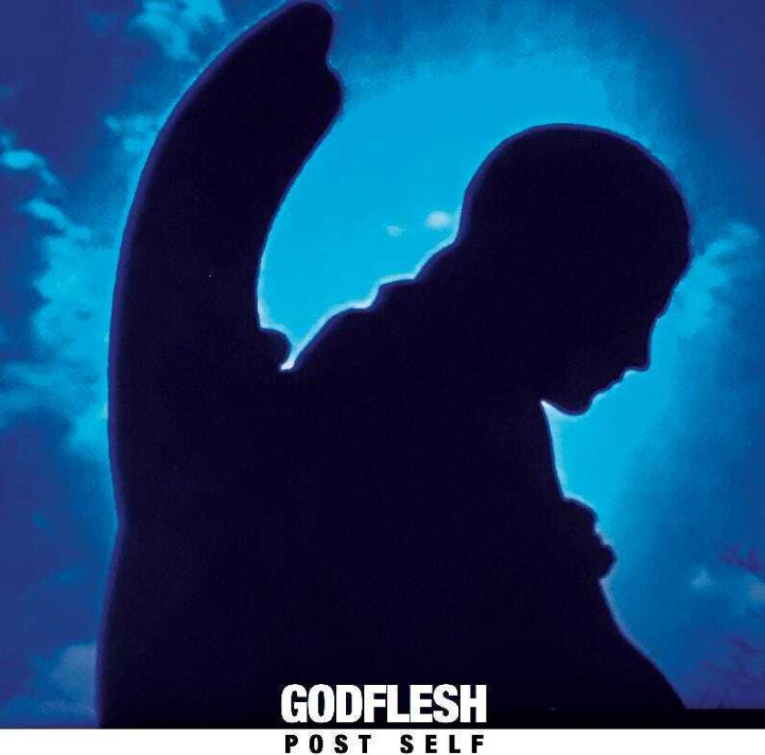 Godflesh Post Self LP/Vinyl