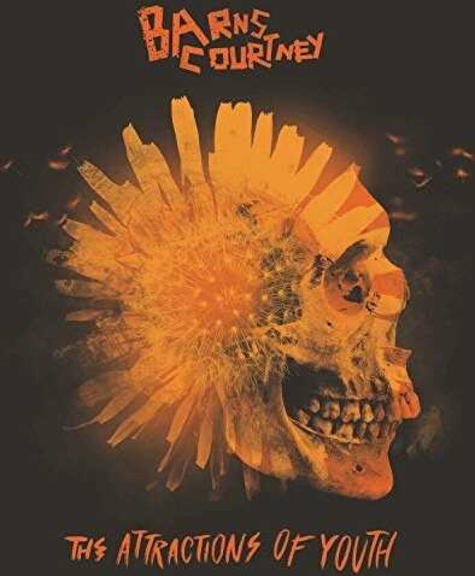 Barns Courtney The Attractions Of Youth CD