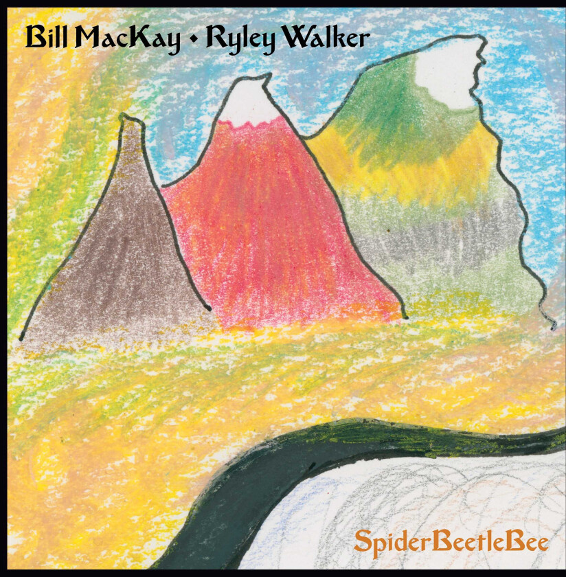 Bill Mackay & Ryley Walker, Ryley Walker Spiderbeetlebee LP/Vinyl
