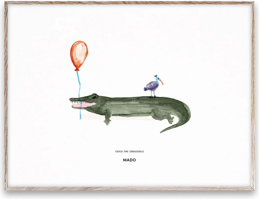 Coco the Crocodile plakat 30 x 40 cm