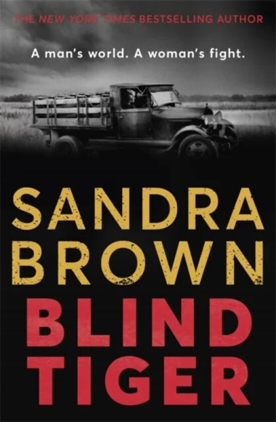 Blind Tiger av Sandra Brown