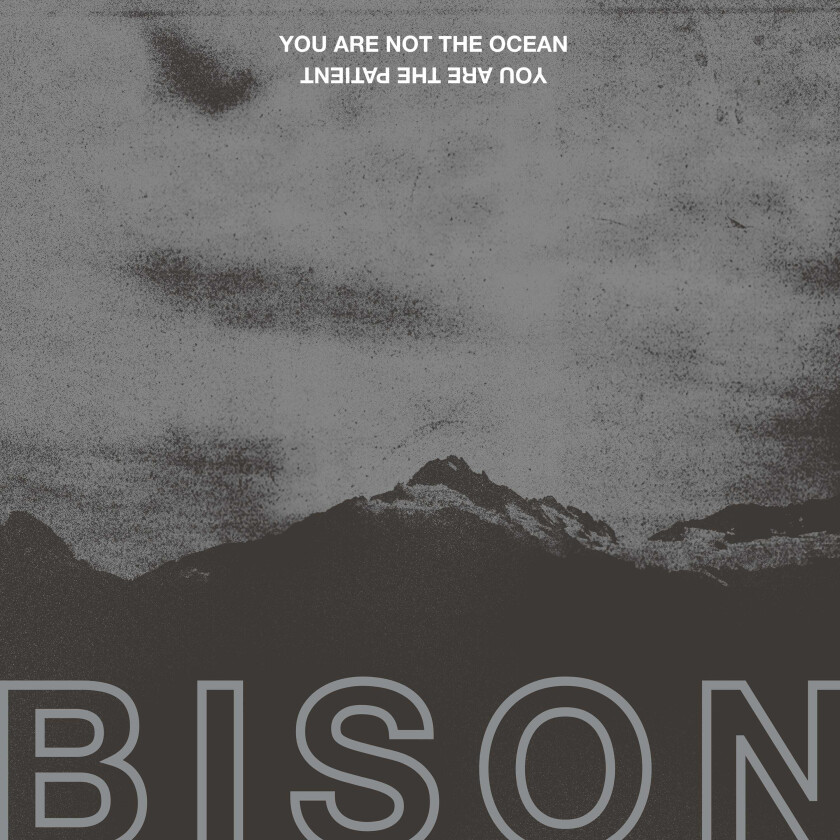 Bison You Are Not The Ocean You Are The Patien CD