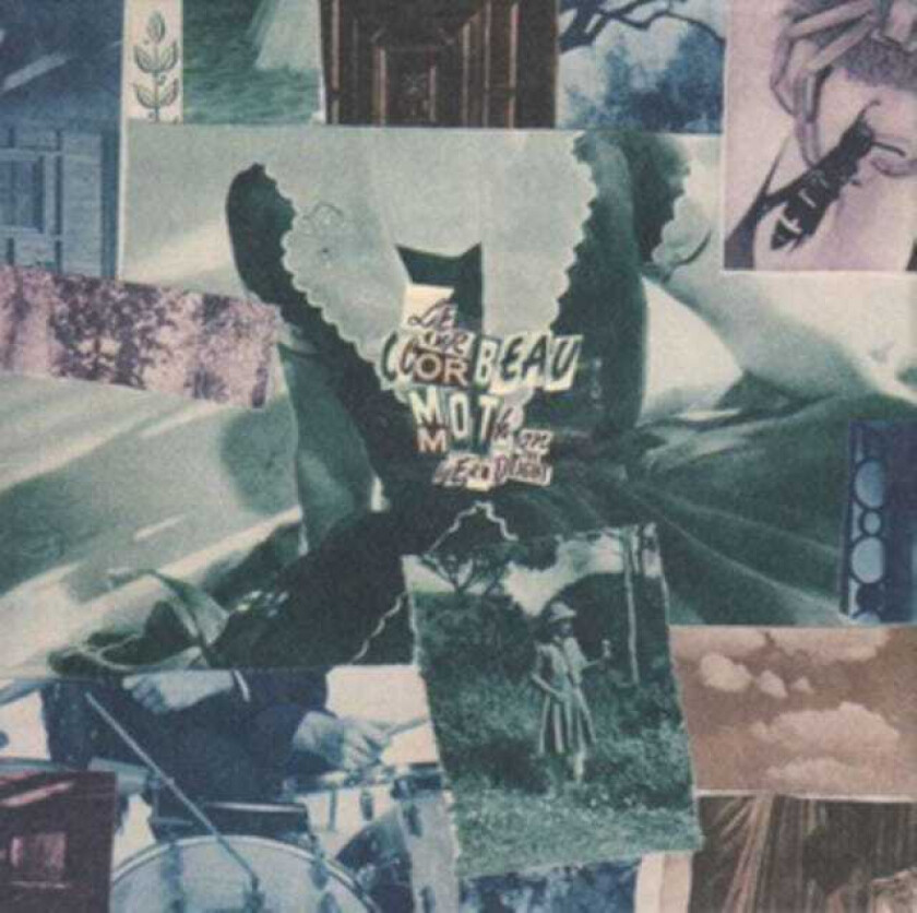 Le Corbeau Moth On The Headlight CD