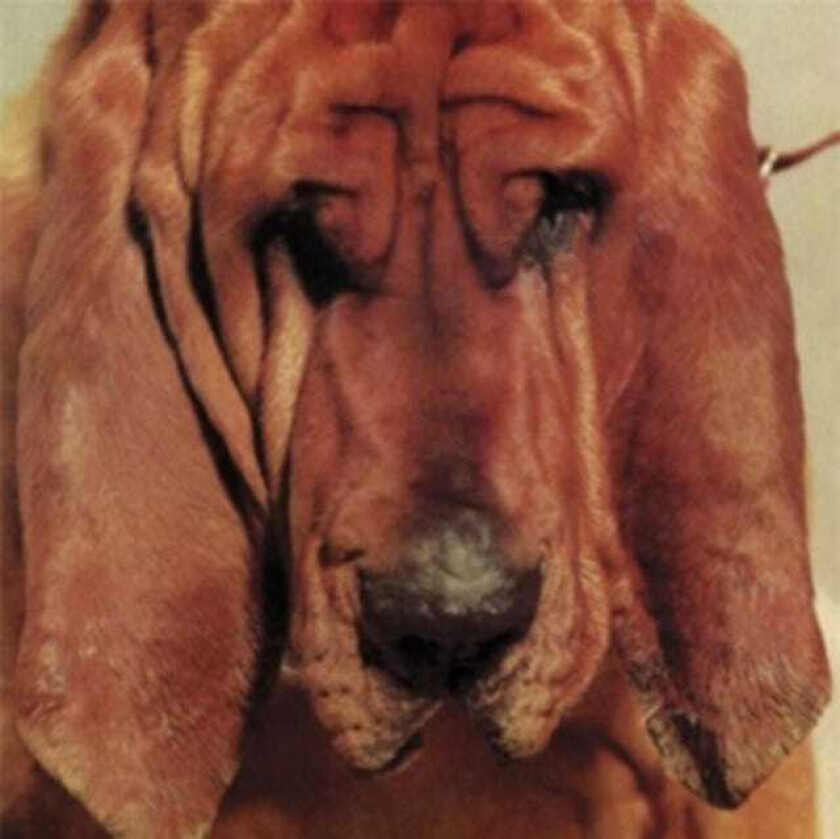 Ty Segall Goodbye Bread LP/Vinyl