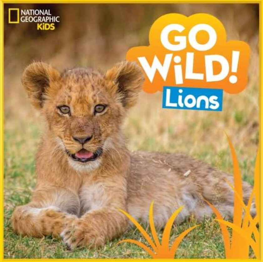 Go Wild! Lions