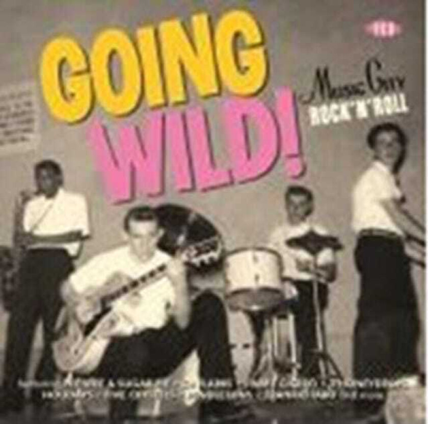 Diverse Rock Going Wild! Music City Rock'N'Roll CD
