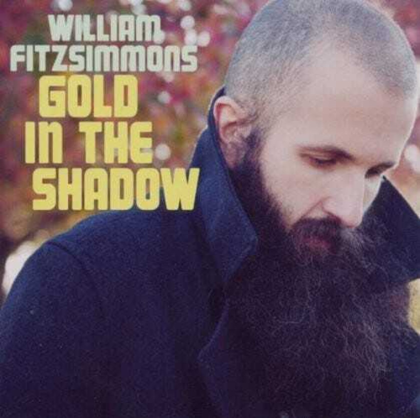 William Fitzsimmons  Gold In The Shadow  CD