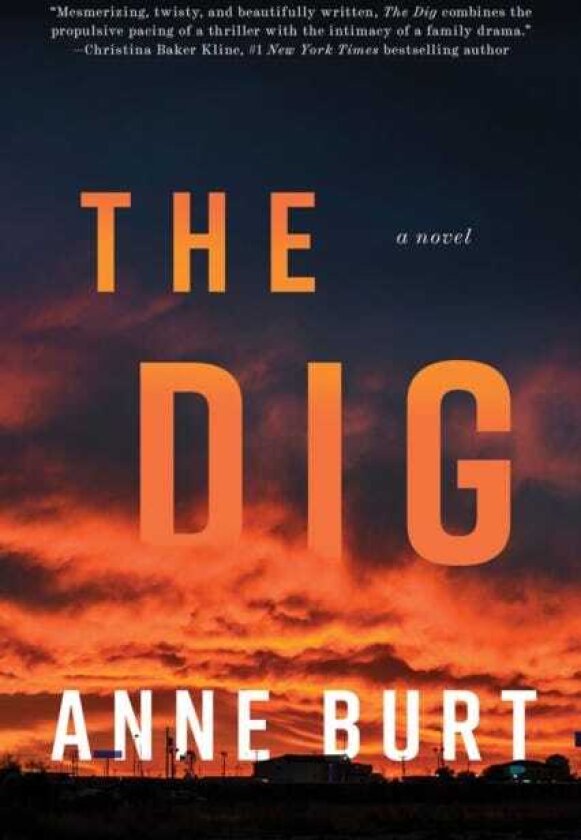 The Dig A Novel