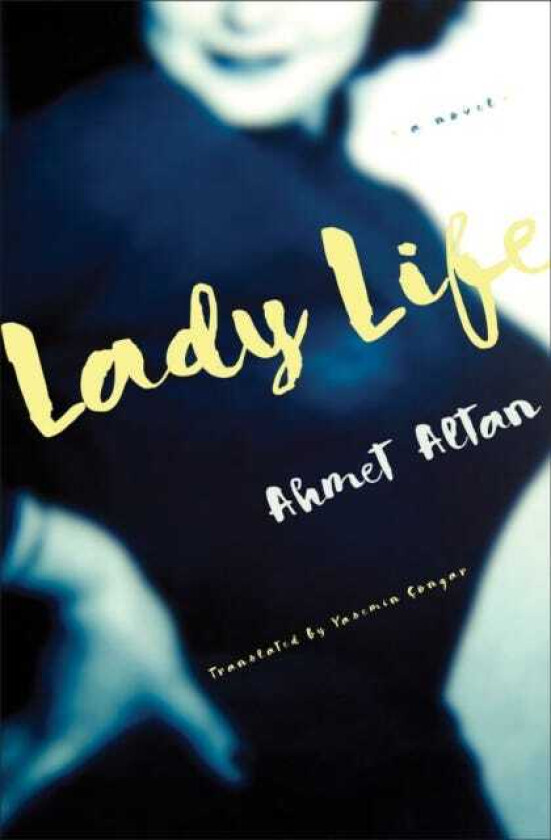 Lady Life  A Novel