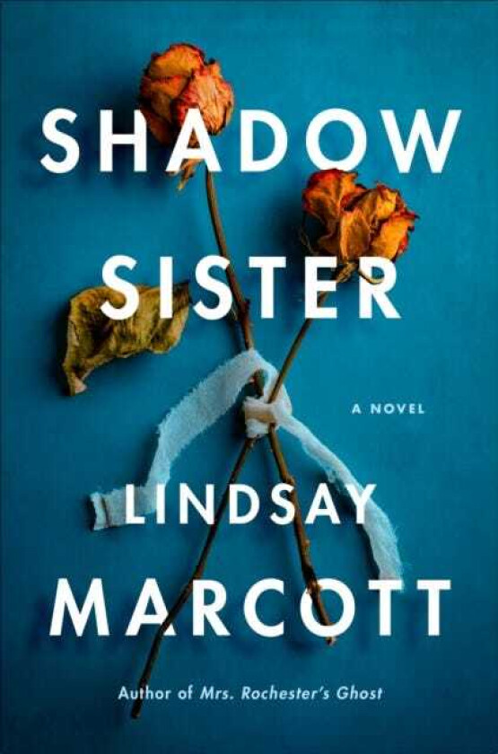 Shadow Sister  A Novel