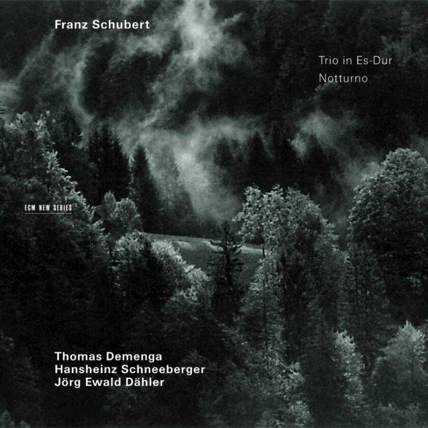 Thomas Demenga, Hansheinz Schneeberger, Jörg Ewald Dähler, Patrick Demenga, Teije Van Geest Schubert: Piano Trio, D929; Notturno CD