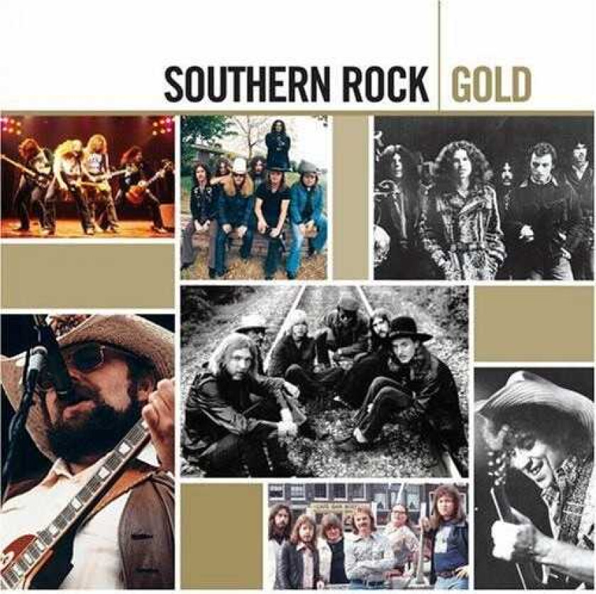 Diverse Artister Southern Rock Gold CD