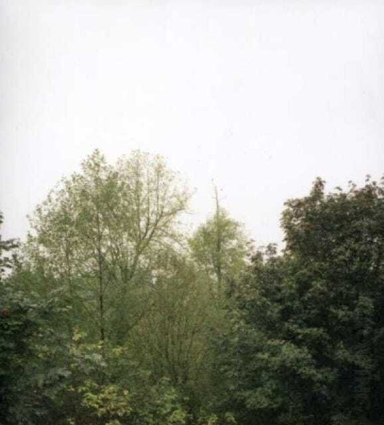 Growing Soul Of The Rainbow, And Harmony Of Light CD