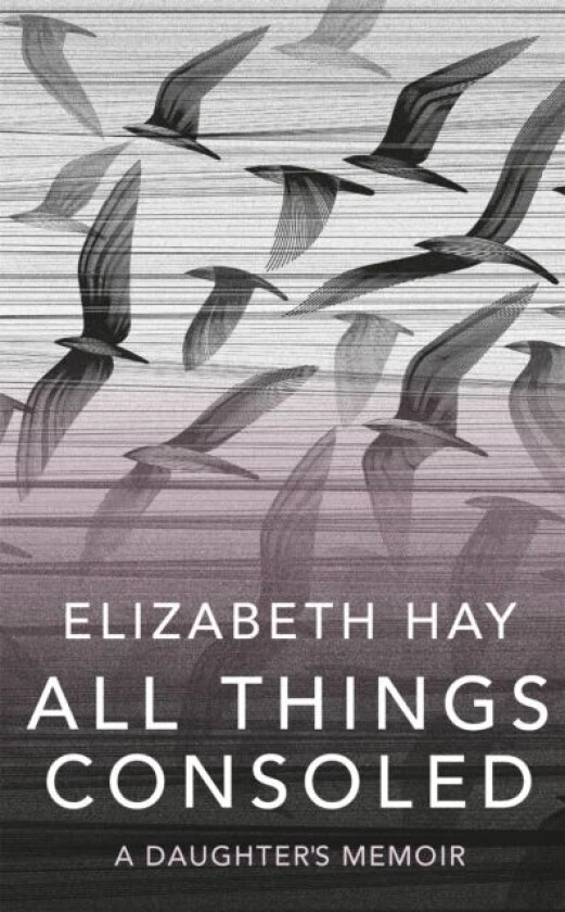 All Things Consoled av Elizabeth Hay