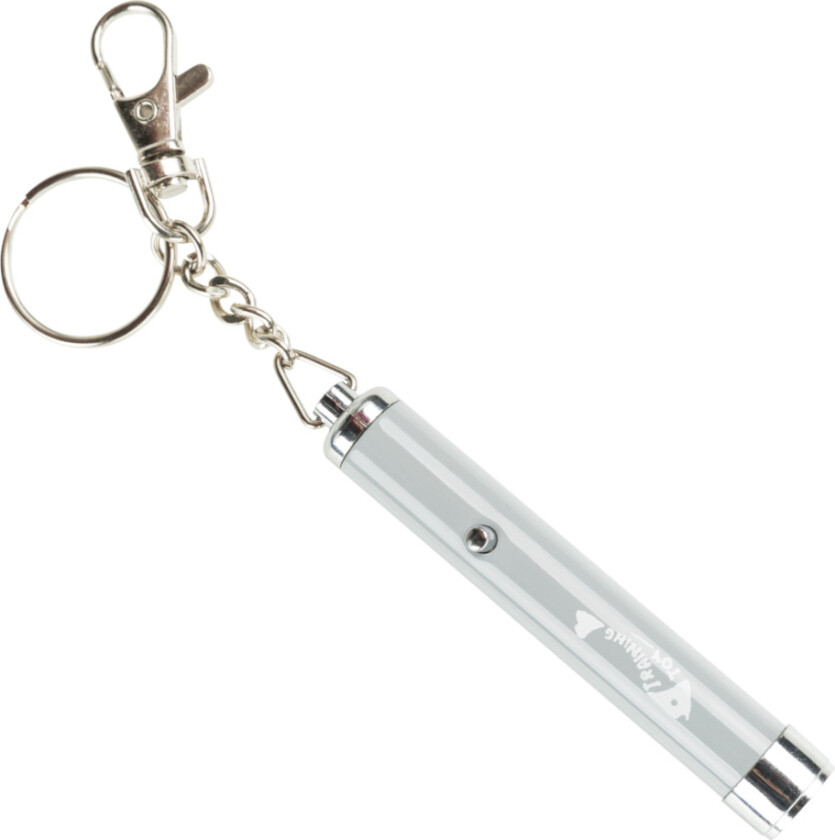 Bilde av LED Pointer Catch the Light - 1 stk