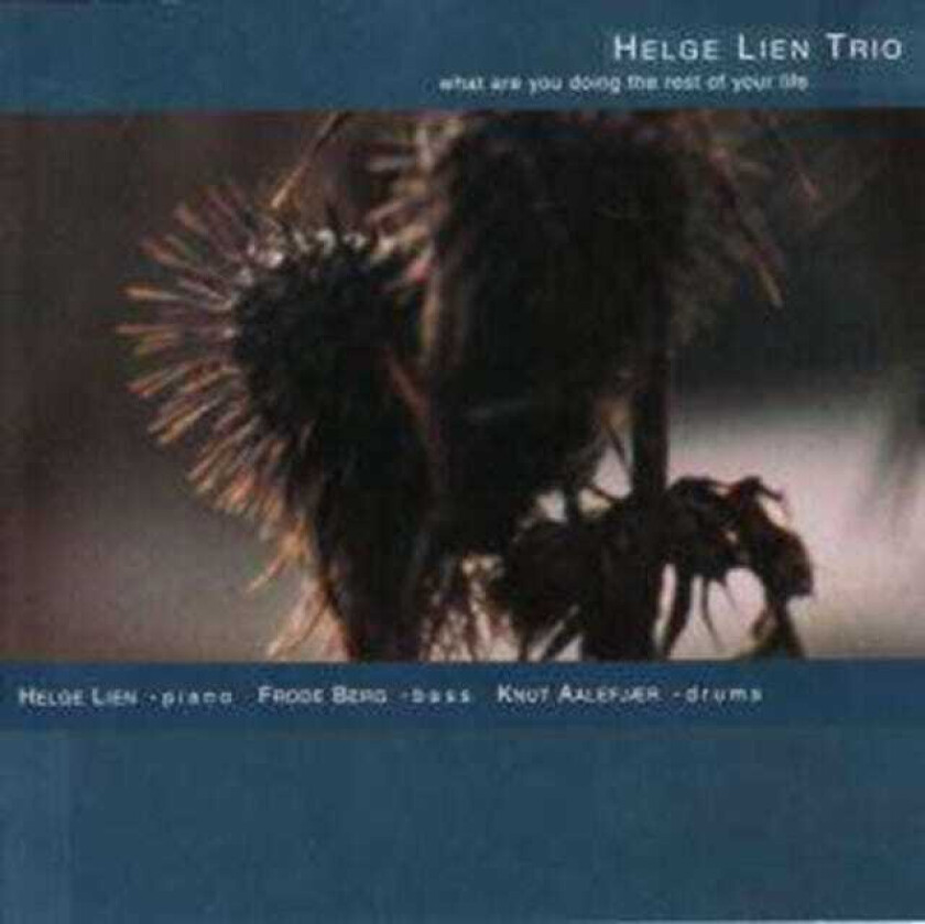 Helge Lien What Are You Doing The Rest Of Your Life CD