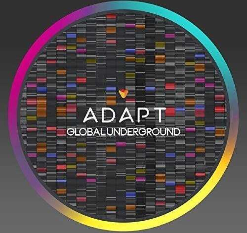 Diverse Dance, Diverse Electronica Global Underground: Adapt CD