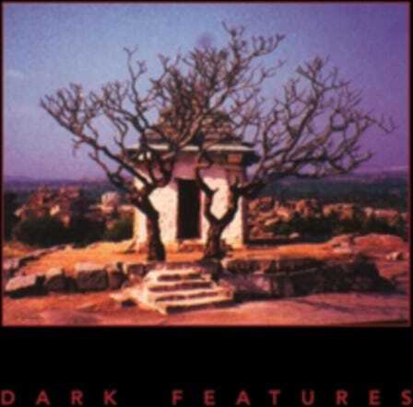 Phil Western & Tim Hill Dark Features LP/Vinyl