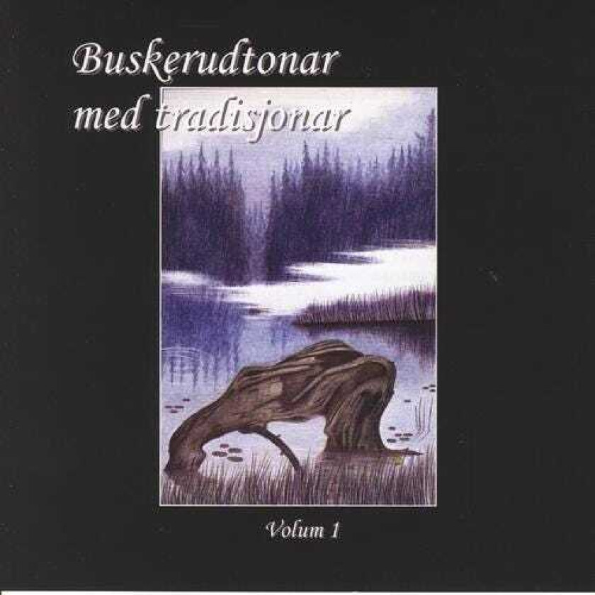 Diverse Folkemusikk Buskerudtonar Med Tradisjonar 1 CD